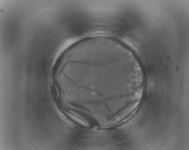 X0000088401413200706191346