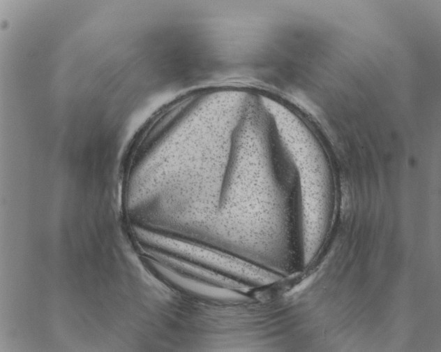 X0000088401414200706191346