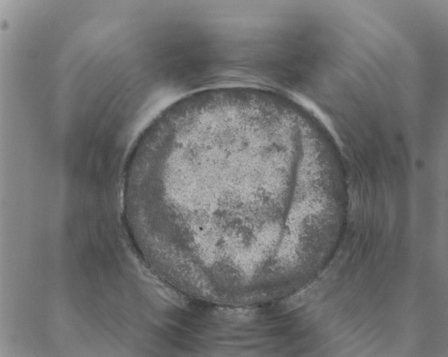 X0000088401415200706191346