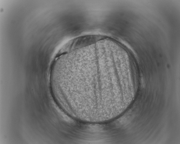 X0000088401416200706191346