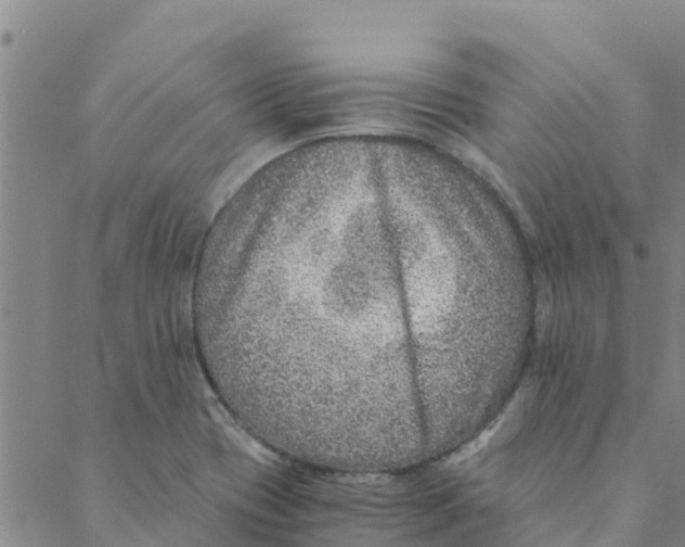 X0000088401417200706191346