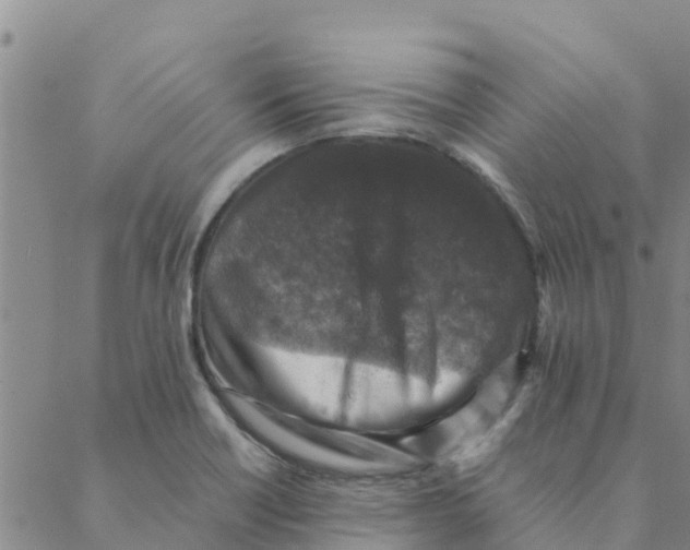 X0000088401418200706191346