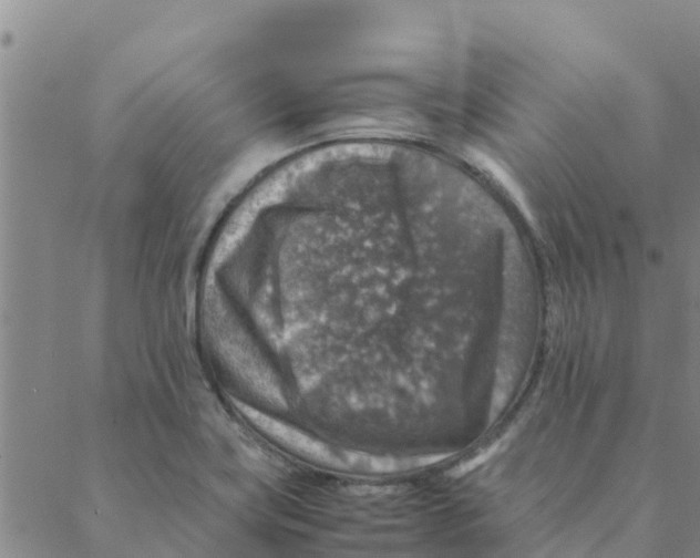 X0000088401419200706191346