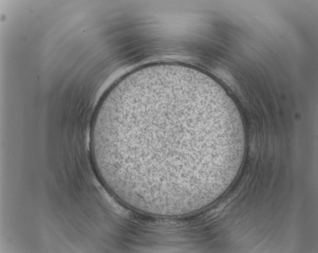 X0000088401420200706191346