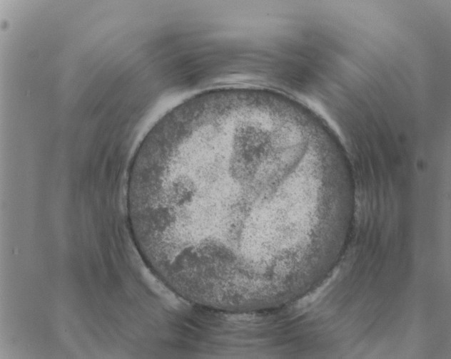 X0000088401421200706191346