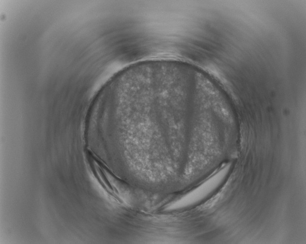 X0000088401422200706191346