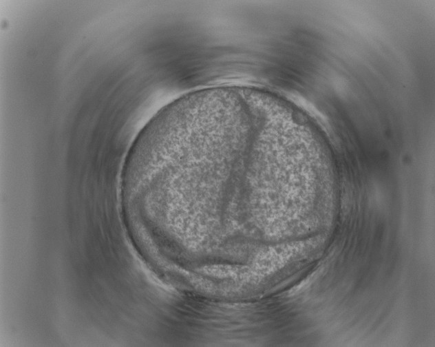 X0000088401423200706191346