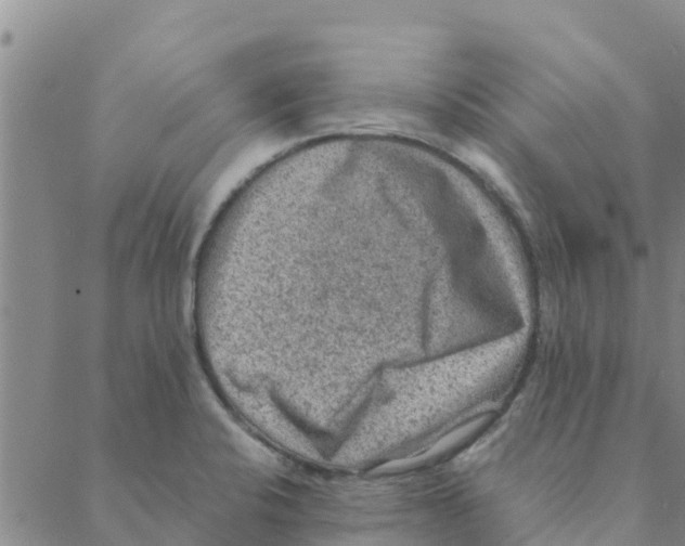 X0000088401424200706191346