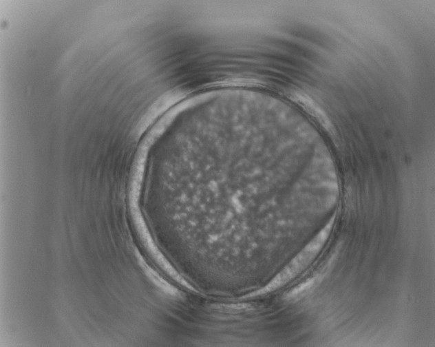 X0000088401425200706191346