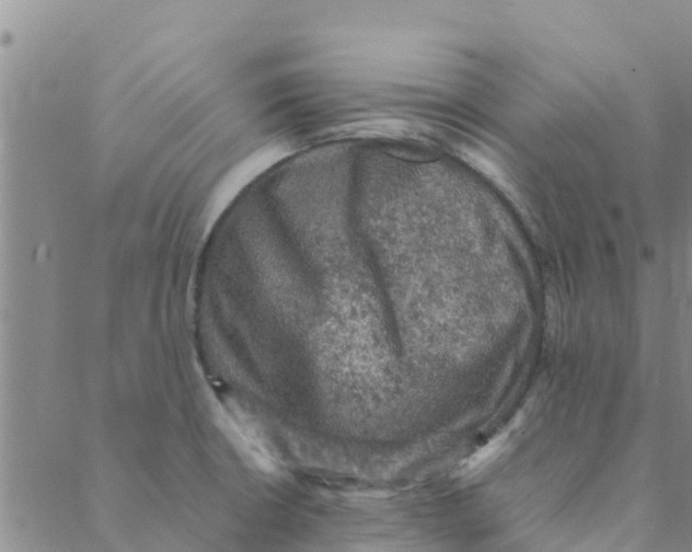 X0000088401426200706191346