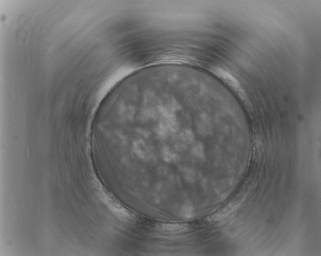 X0000088401427200706191346