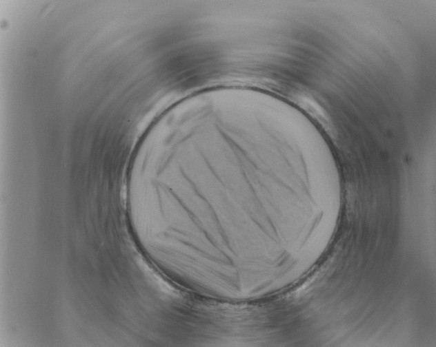 X0000088401428200706191346