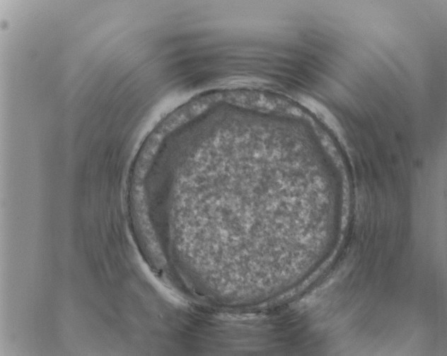 X0000088401429200706191346