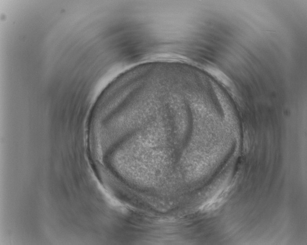 X0000088401430200706191346