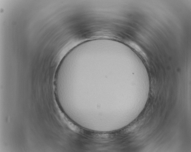 X0000088401431200706191346