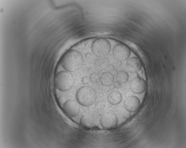 X0000088401432200706191346