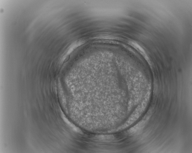 X0000088401433200706191346