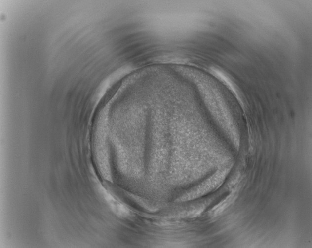 X0000088401434200706191346