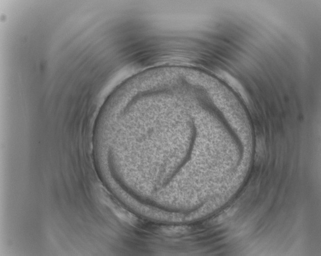 X0000088401435200706191346