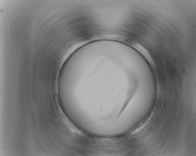 X0000088401436200706191346