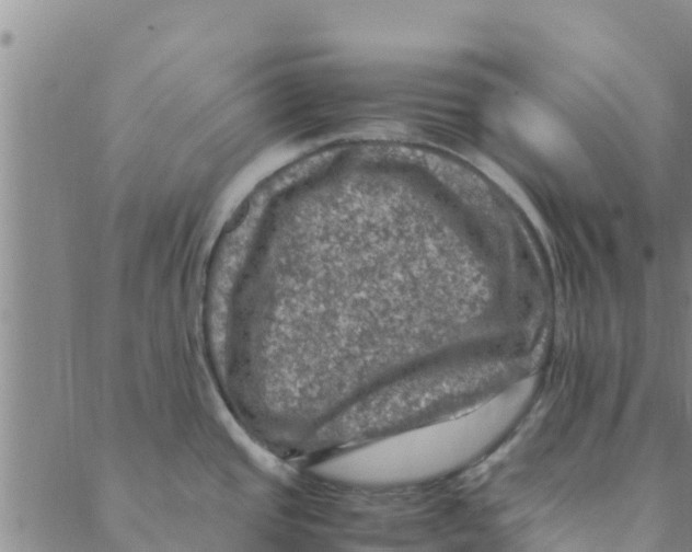 X0000088401437200706191346