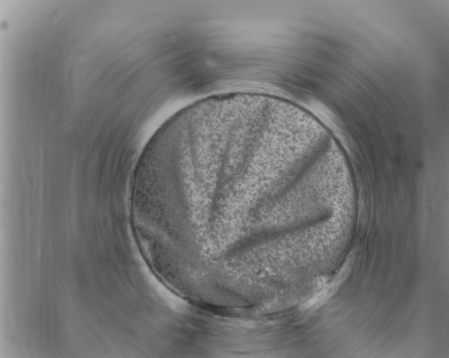 X0000088401438200706191346