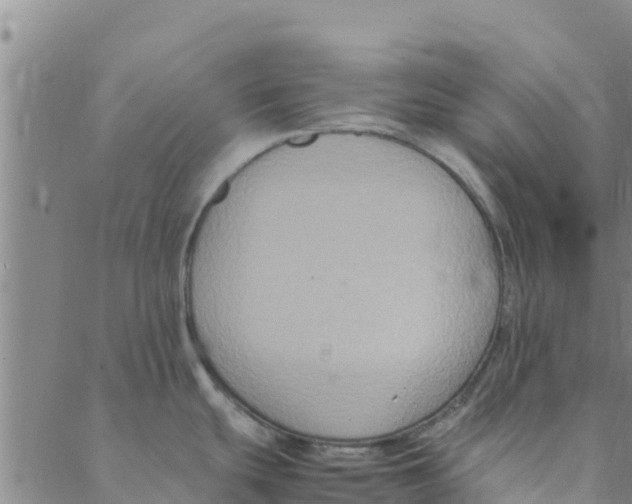 X0000088401439200706191346