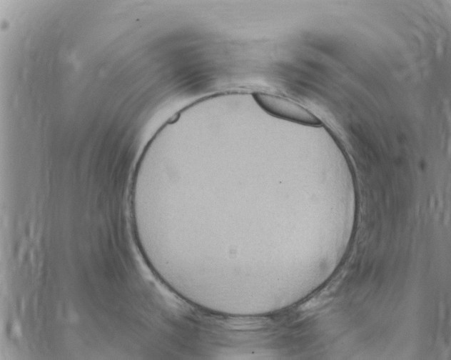 X0000088401440200706191346