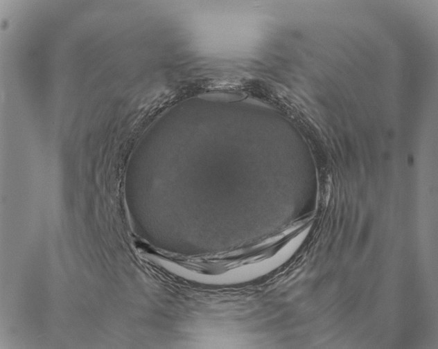 X0000088401441200706191346