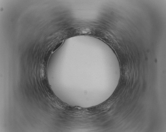 X0000088401442200706191346