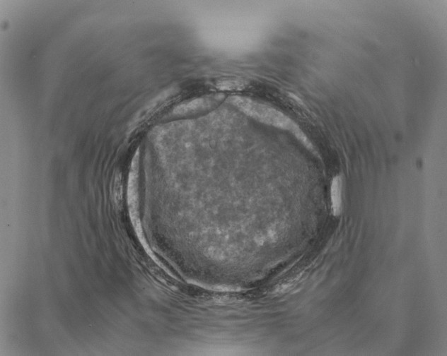 X0000088401443200706191346