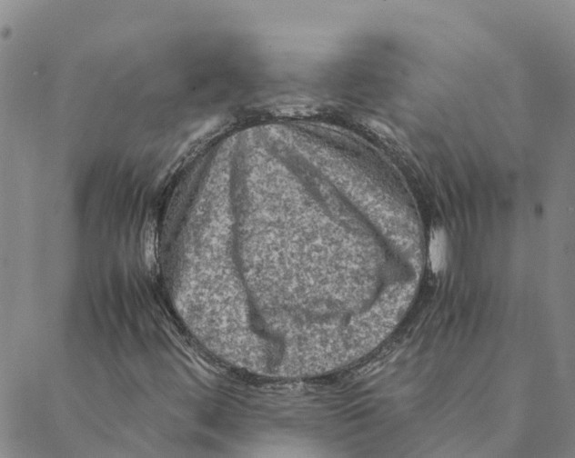 X0000088401444200706191346