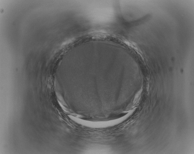 X0000088401445200706191346