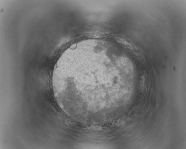 X0000088401446200706191346