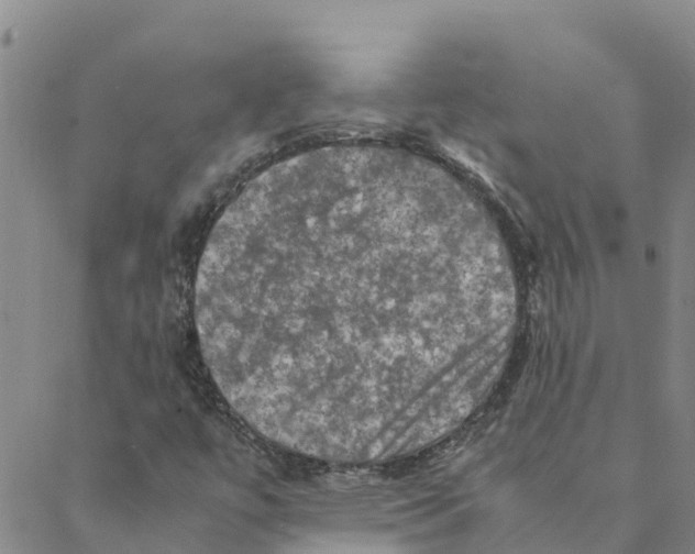 X0000088401447200706191346