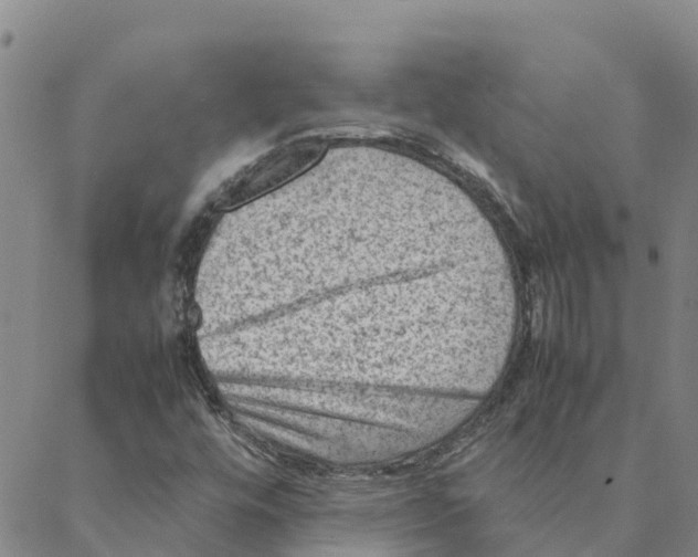 X0000088401448200706191346