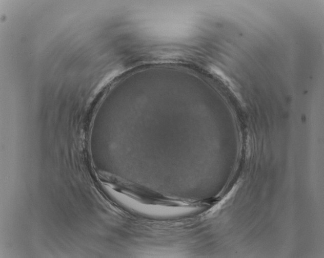 X0000088401449200706191346