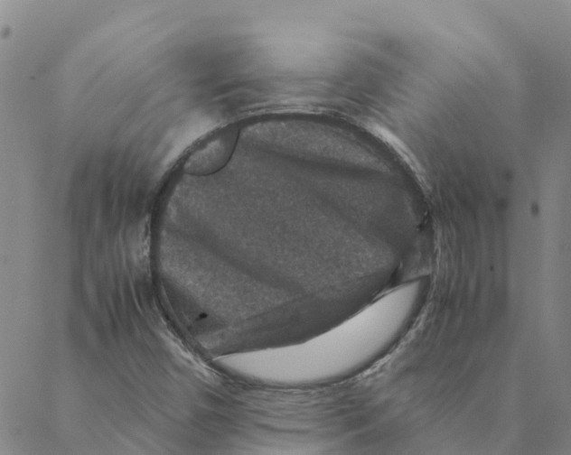 X0000088401450200706191346