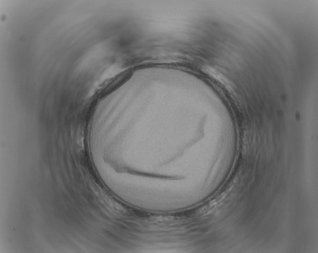 X0000088401451200706191345