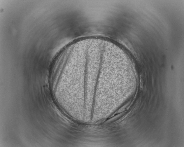 X0000088401452200706191345