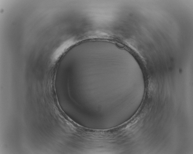 X0000088401455200706191345