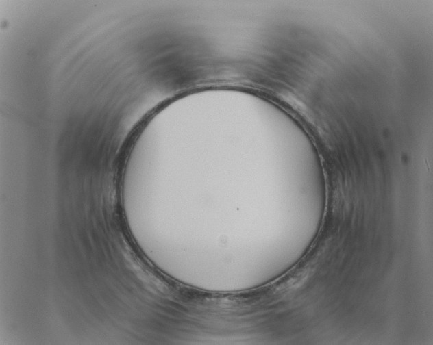 X0000088401458200706191345