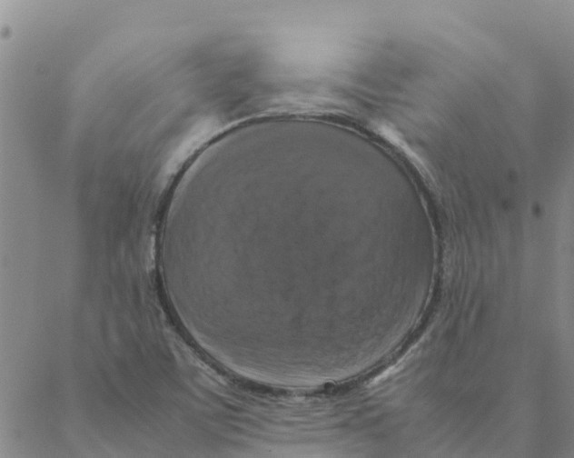 X0000088401459200706191345