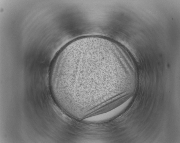 X0000088401460200706191345