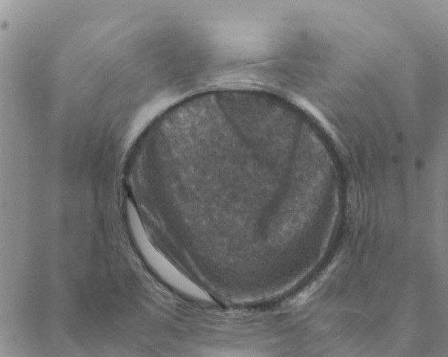 X0000088401461200706191345