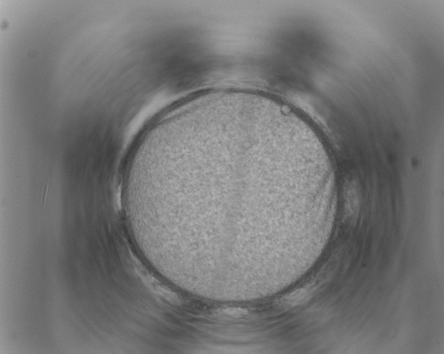 X0000088401462200706191345