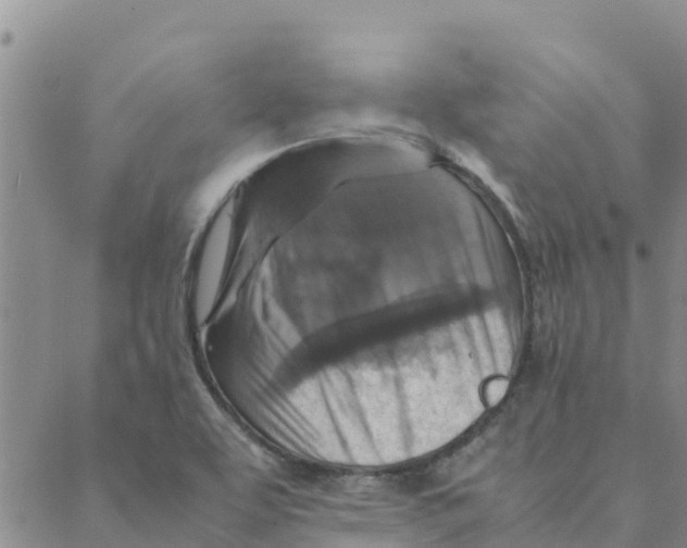 X0000088401463200706191345