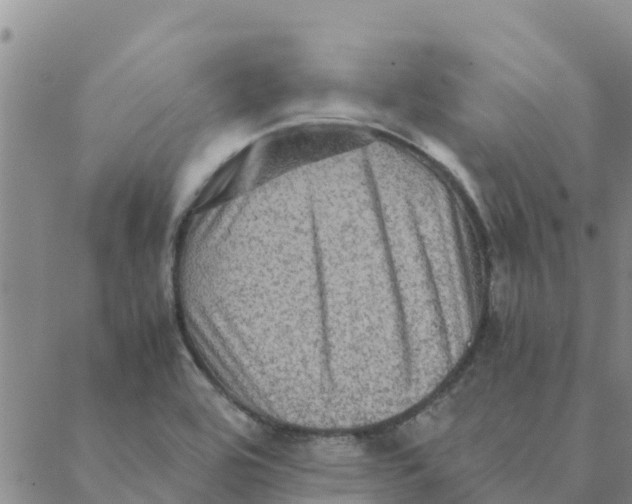 X0000088401464200706191345