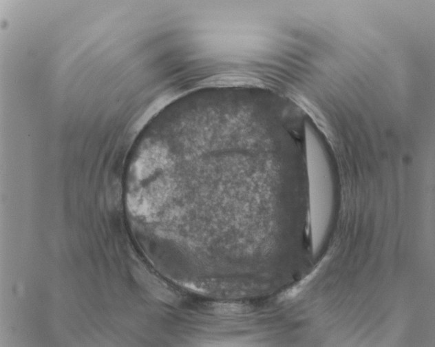 X0000088401465200706191345