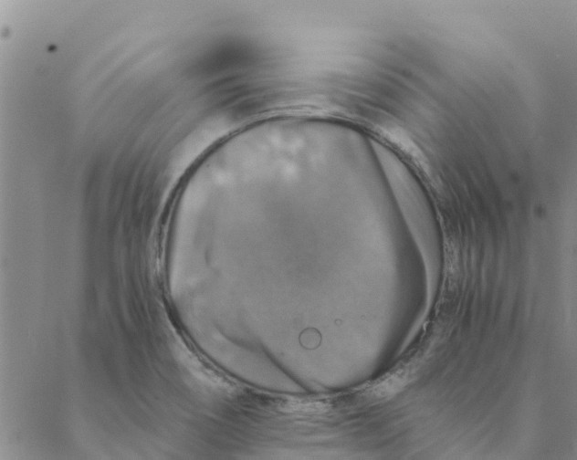 X0000088401466200706191345